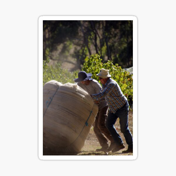 Item preview, Moving the nets by Adelaide Artist Avril Thomas at Magpie Springs designed and sold by MagpieSprings.