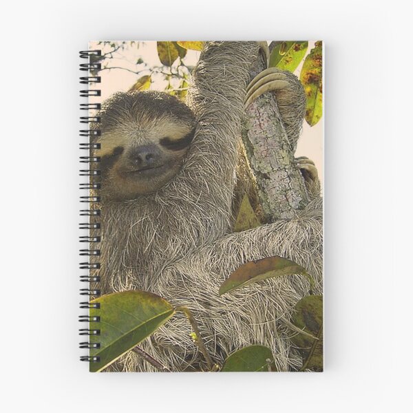 Item preview, adorable sloth designed and sold by Jamcolors.