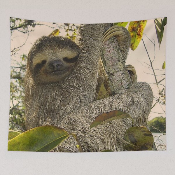 Item preview, adorable sloth designed and sold by Jamcolors.