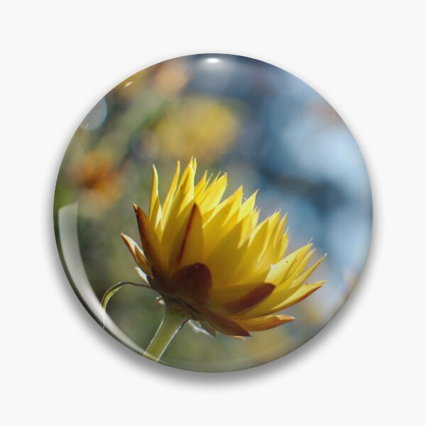 Item preview, Golden paper daisy designed and sold by notjustamwac.