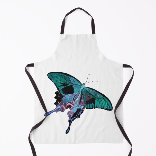 Papilio maackii (Alpine Black Swallowtail) - No. 2 Apron