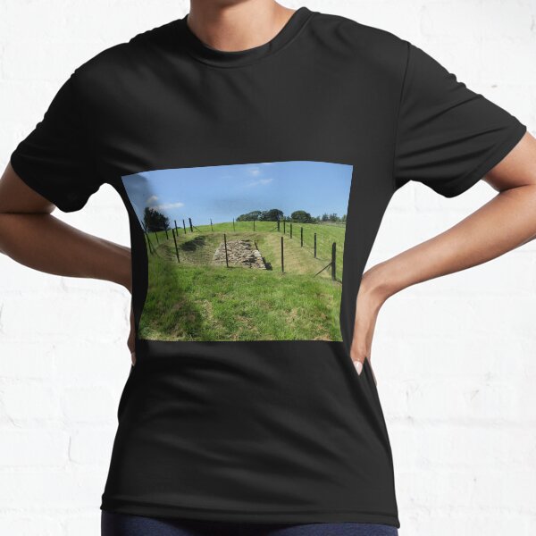 Merch #100 -- Fenced Off Rock Remains (Hadrian's Wall) Active T-Shirt