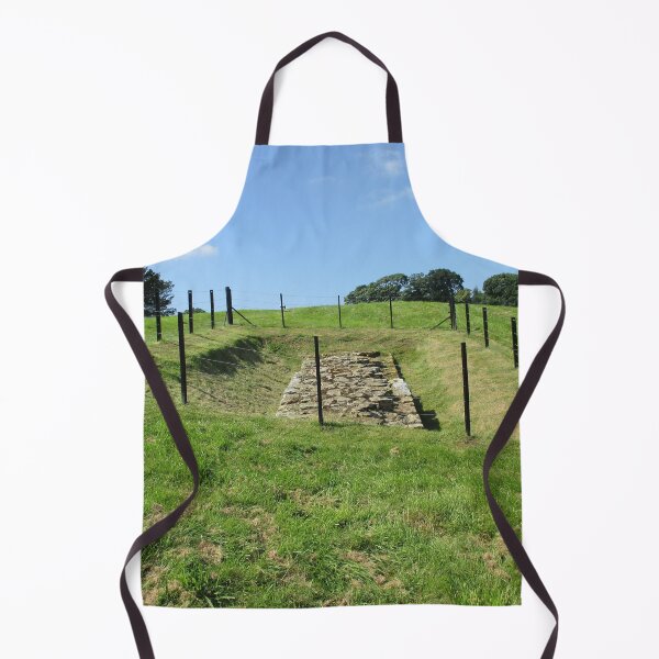 Merch #100 -- Fenced Off Rock Remains (Hadrian's Wall) Apron