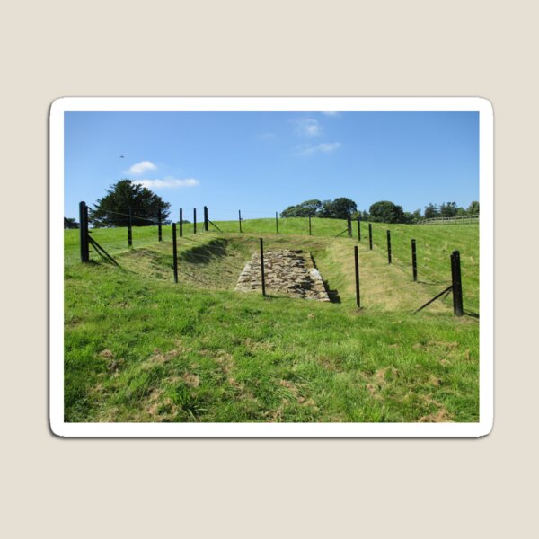 Merch #100 -- Fenced Off Rock Remains (Hadrian's Wall) Magnet