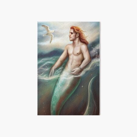 Item preview, Merman and Seagull designed and sold by dim-draws.