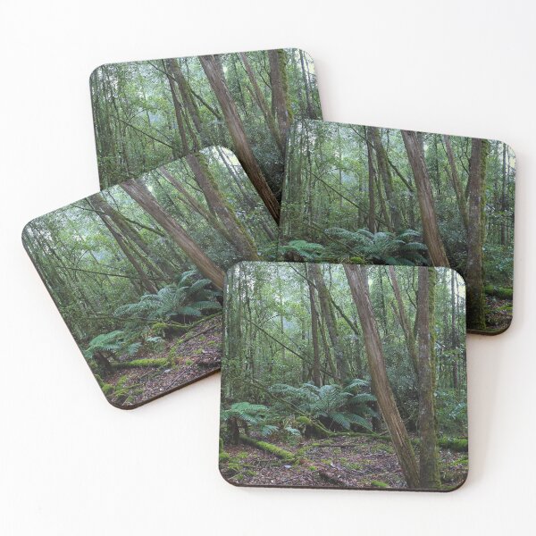 Item preview, A glimmer of sun in the rainforest designed and sold by imaginethis.