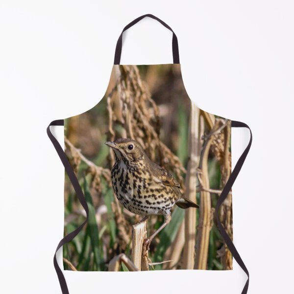 Item preview, Meadow Pipit designed and sold by grumpykeith.