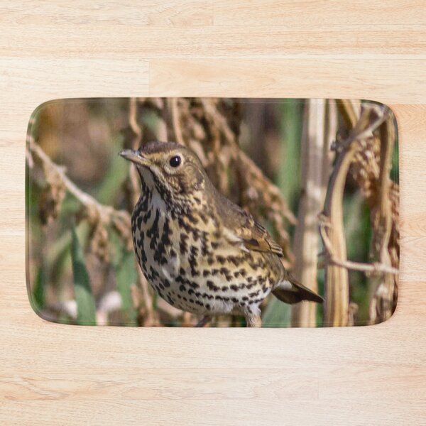 Item preview, Meadow Pipit designed and sold by grumpykeith.