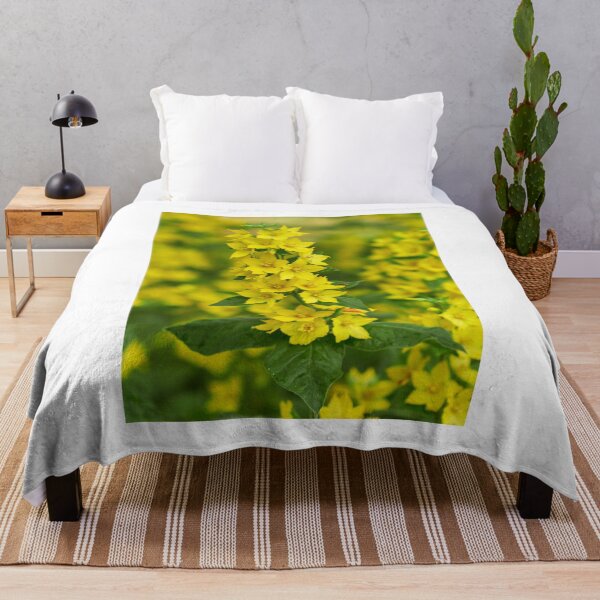 Item preview, The bold Yellow loosestrife designed and sold by Jouko Lehto Photography.