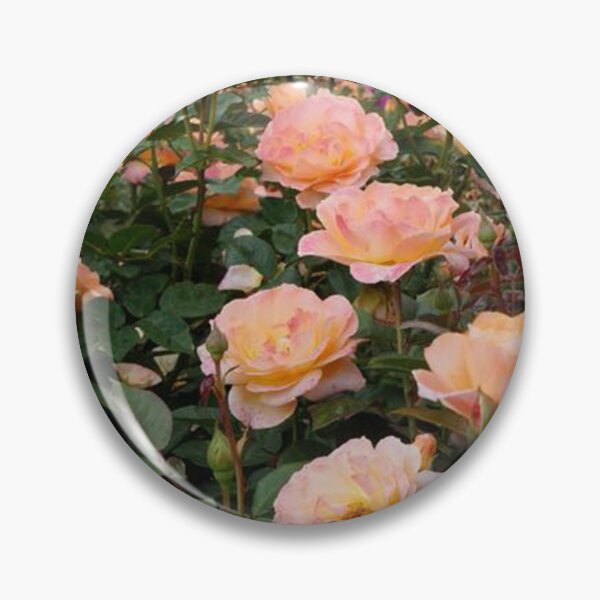 Item preview, Cottage Core Orange Roses  designed and sold by katieraphh.