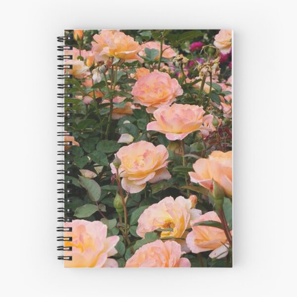 Item preview, Cottage Core Orange Roses  designed and sold by katieraphh.