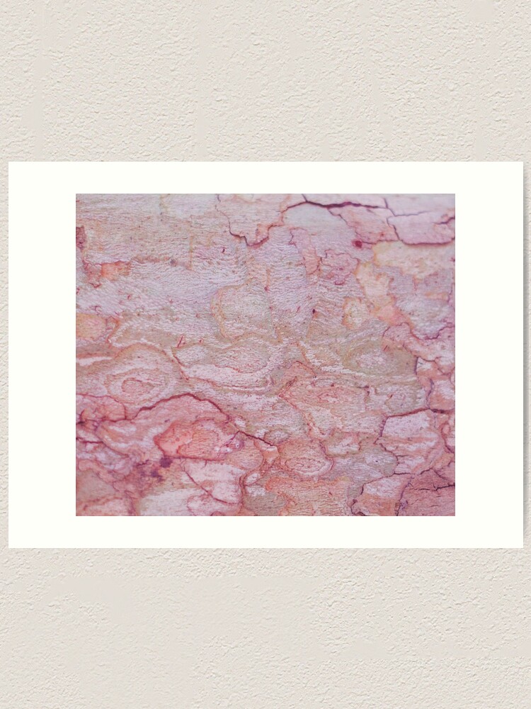 Alternate view of Texture pink stone structure Art Print