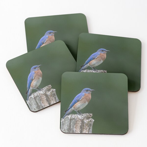Item preview, Eastern Bluebird on the Cedar Post designed and sold by Rob Lavoie.