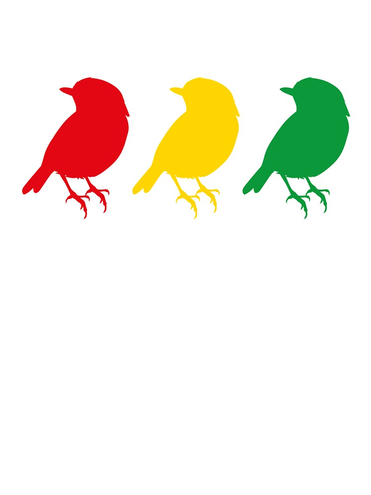 3 Little Birds Three Birds Rasta Colors Bob Song Kids T Shirt By Mgoo Redbubble