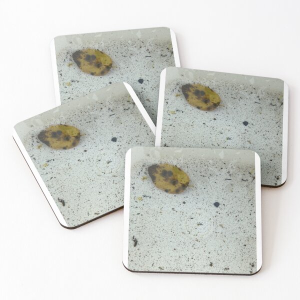Item preview, Leaf Matters designed and sold by JenGo Creative.
