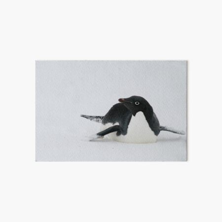 Artikel-Vorschau von Rodeln Antarktis Adelie Pinguin, designt und verkauft von RedFrenzyDesign.