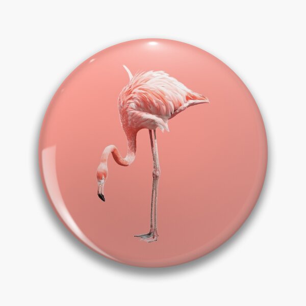 Aperçu de l'œuvre OISEAU ROSE FLAMANT créée et vendue par Reda678.