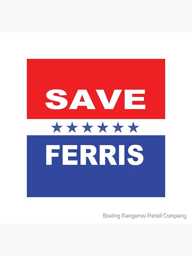 Discover Save Ferris Election flag Pin