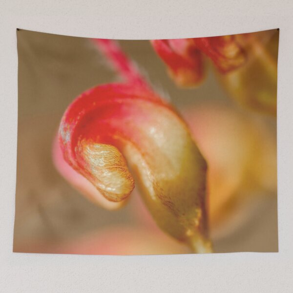 Item preview, Grevillea (2) designed and sold by Josette Halls.
