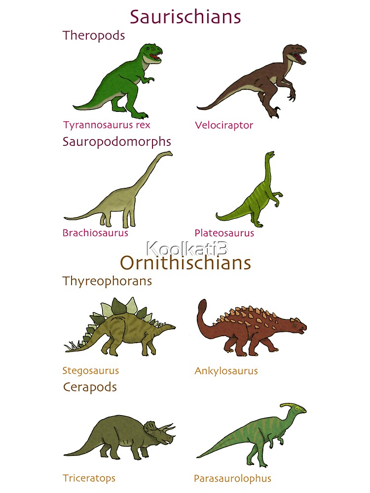 Camiseta para niños «Clasificación de dinosaurios» de Koolkati3 | Redbubble Camiseta para niños «Clasificación de dinosaurios» de Koolkati3 | Redbubble