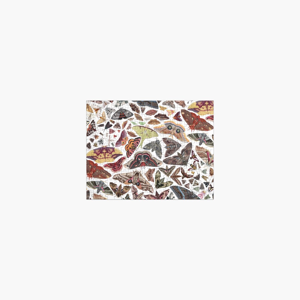 Moths of North America Pattern Jigsaw Puzzle