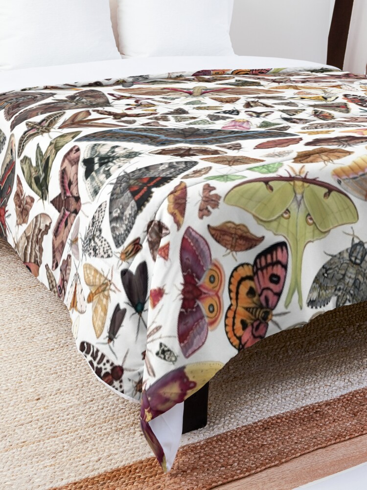 Disover Moths of North America Pattern Quilt