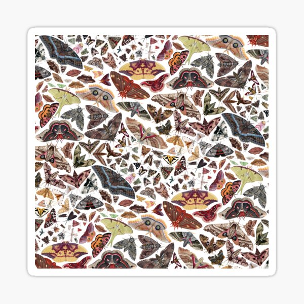 Moths of North America Pattern Sticker