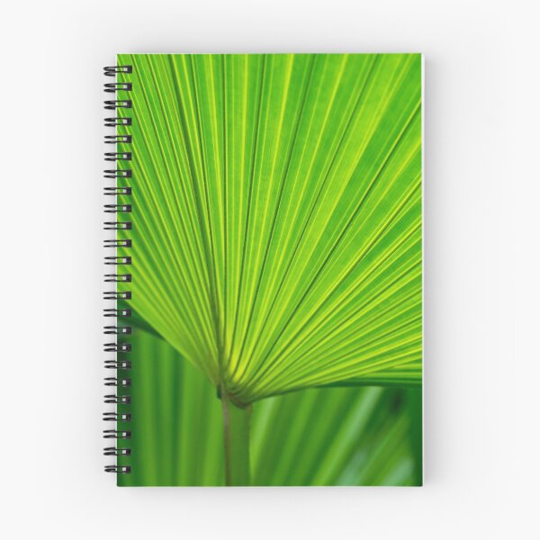 Item preview, Green Tropical Biophilia - Fan Leaved Palm Tree designed and sold by Georgia Mizuleva.