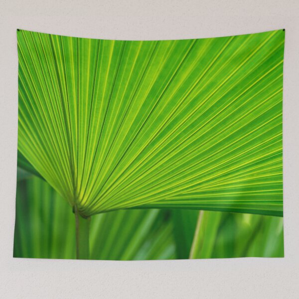 Item preview, Green Tropical Biophilia - Fan Leaved Palm Tree designed and sold by Georgia Mizuleva.