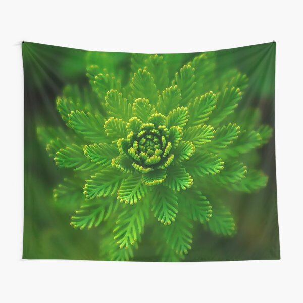 Natural beauty Tapestry