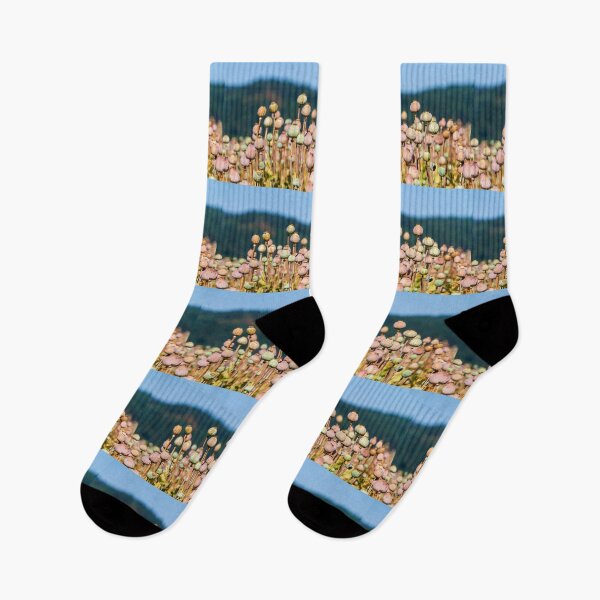 Item preview, Poppy Seed Field designed and sold by MUZA9.