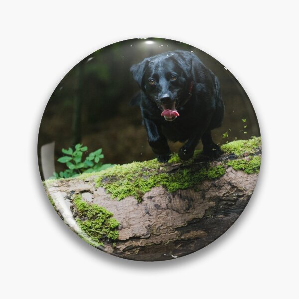 Item preview, Black Labrador Retriever jumping over a log designed and sold by bdws.