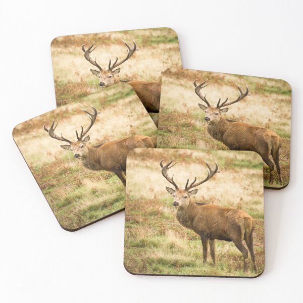 Item preview, Red Deer Stag  designed and sold by Jane Stanley Photography.
