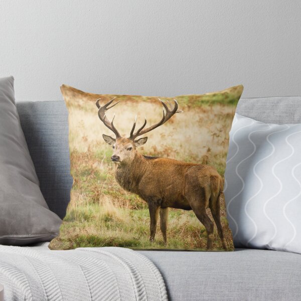 Item preview, Red Deer Stag  designed and sold by Jane Stanley Photography.