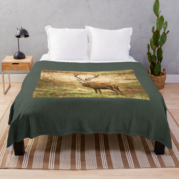 Item preview, Red Deer Stag  designed and sold by Jane Stanley Photography.