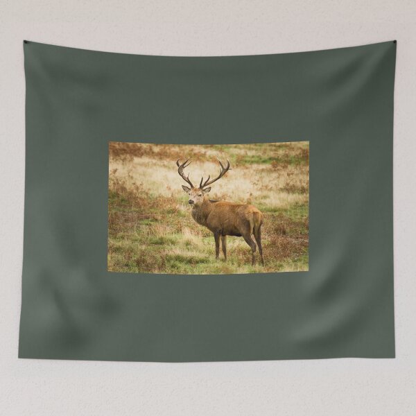 Item preview, Red Deer Stag  designed and sold by Jane Stanley Photography.