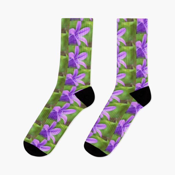 Item preview, Campanula macro designed and sold by Grégory DUBUS.