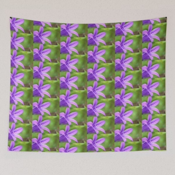 Item preview, Campanula macro designed and sold by Grégory DUBUS.