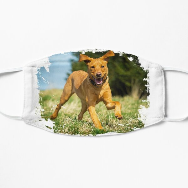 Red Fox Labrador Retriever puppy Mask