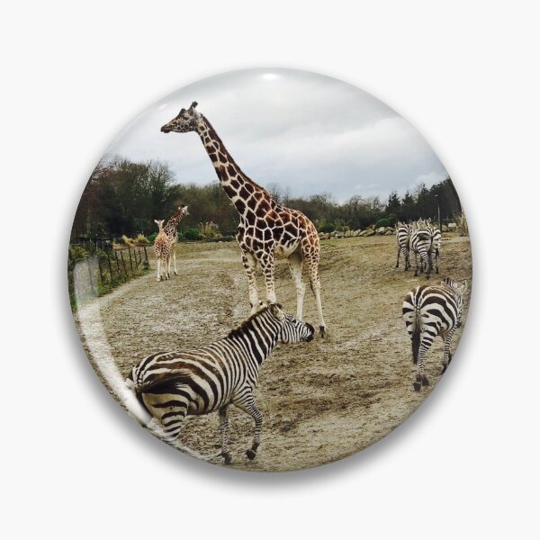 Item preview, The Animals of Dublin Zoo designed and sold by pshelley.