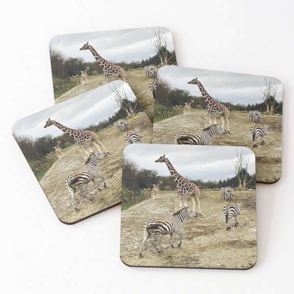 Item preview, The Animals of Dublin Zoo designed and sold by pshelley.