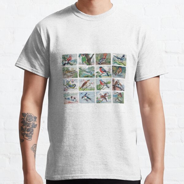16 oiseaux familiers T-shirt classique