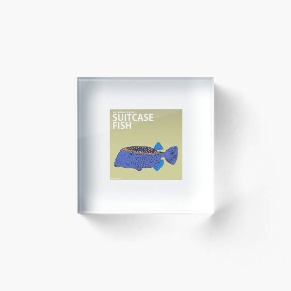 A friendly looking Boxfish (Literal Danish) - Suitcase Fish Acrylic Block