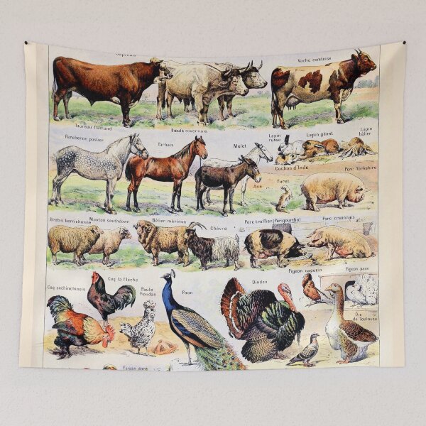 Item preview, Adolphe Millot - Animaux pour tous - French vintage poster designed and sold by DejaVuStudio.