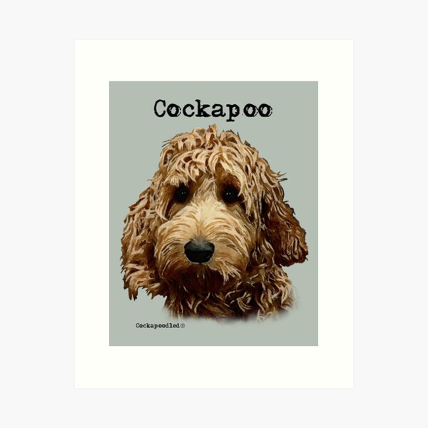 cockapoo themed gifts