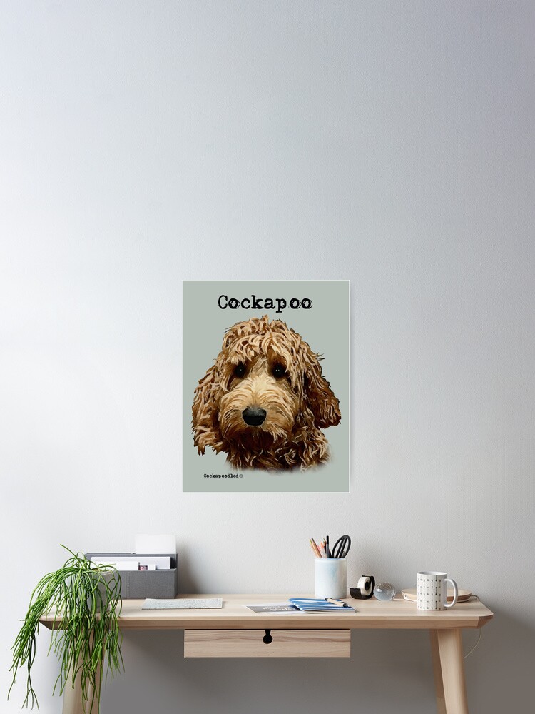 Roter Cockapoo Hund Poster Von Cockapoodled Redbubble