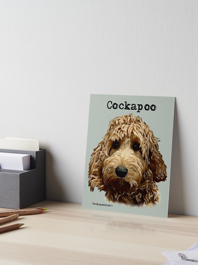 Roter Cockapoo Hund Galeriedruck Von Cockapoodled Redbubble