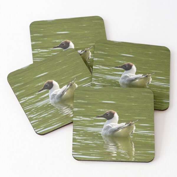 Item preview, Black headed gull. designed and sold by joshuarainbird.