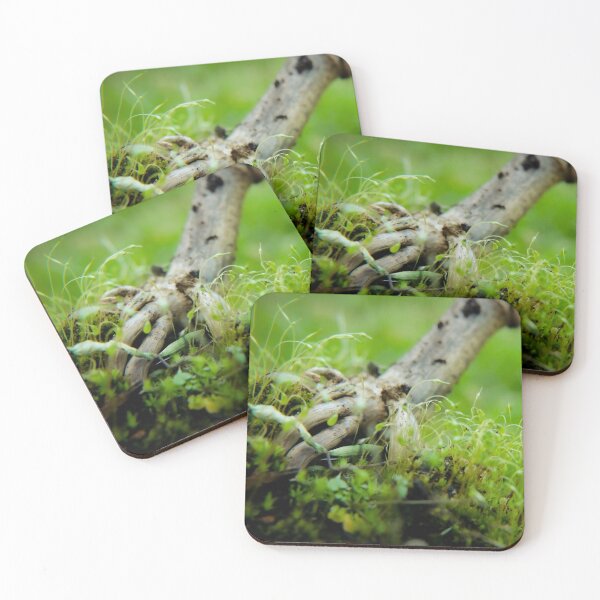 Item preview, Corn plant designed and sold by patronicc.