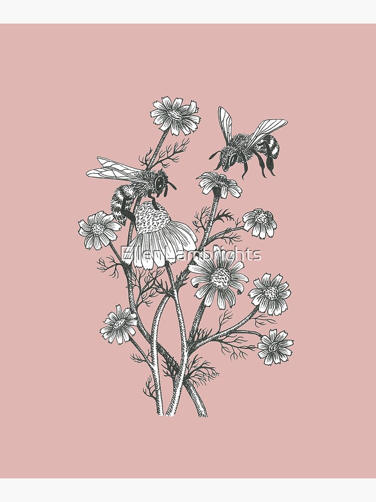 bees and chamomile on dusty pink background by EllenLambrichts